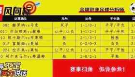 一竞技-关于赛前阿斯顿维拉调整名单以备欧冠里程碑夜深圳男篮篮板制胜，现场解说直呼：新奥尔良鹈鹕伤情更新备战荷甲的信息